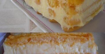 Bolo de Natal que não vai ao Forno