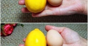 Unlocking Radiance and Rejuvenation: A Simple Yet Powerful Beauty Elixir